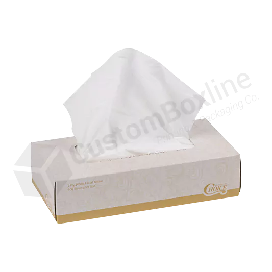 Napkin Packaging