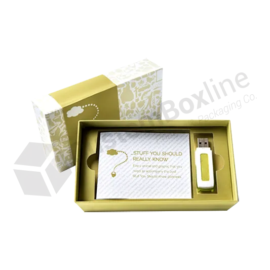USB Promotional Packaging Boxes